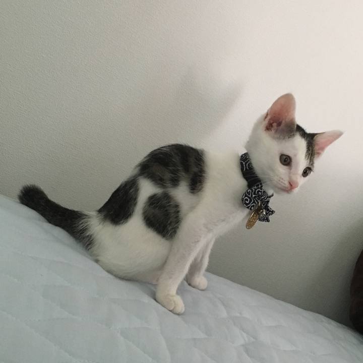 Cd7c8dd5 c6b6 4728 abae 2715e43755cd