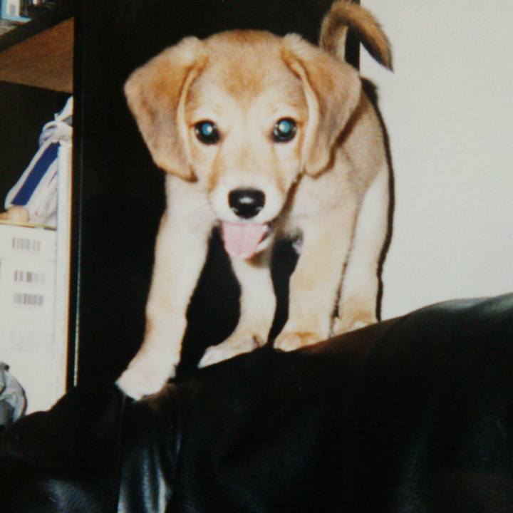 Cd7cbab8 5807 4286 9cbc ff9dc2aff79c