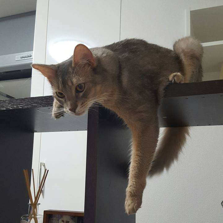 Cd7d24b3 c3ea 4a71 aa60 bade067a9223