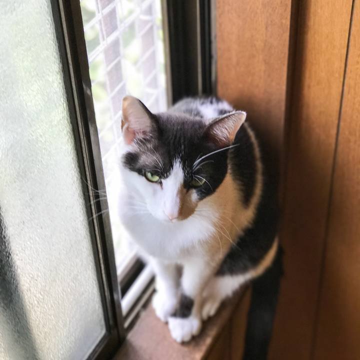 Cd7d4559 9455 490b b92c 9f37c7f49fb9