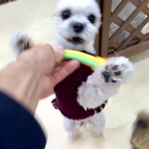 Cd7dca4c cd7f 4d57 a393 716503c20c74