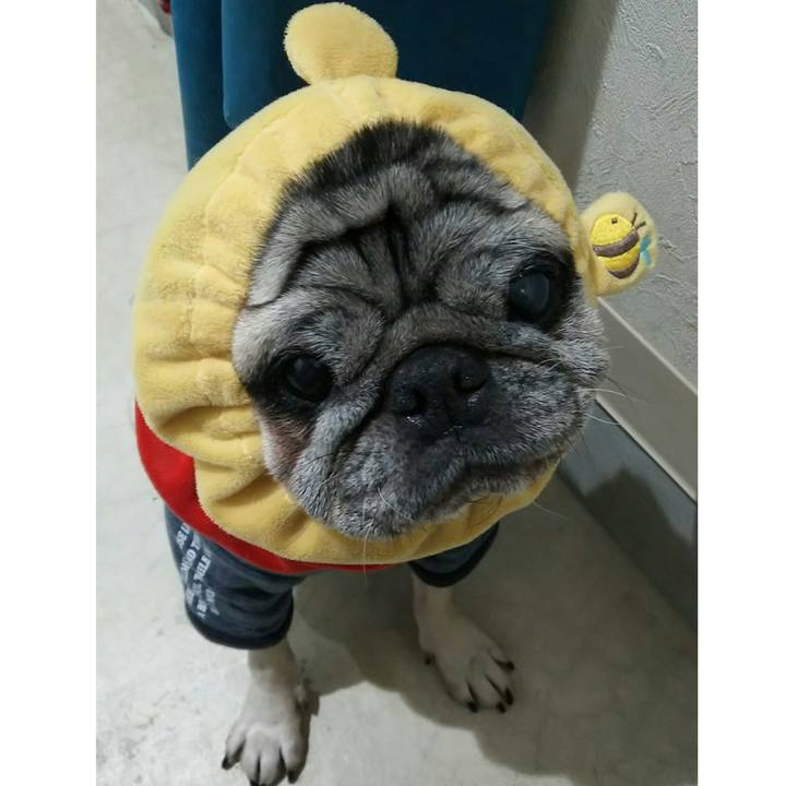 Cd7df652 240f 407b b339 62493c7b3238