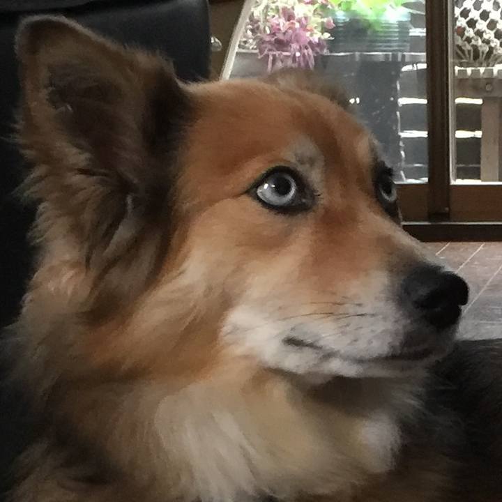 Cd7dfe37 9842 4c09 ba15 58b8e99809b2