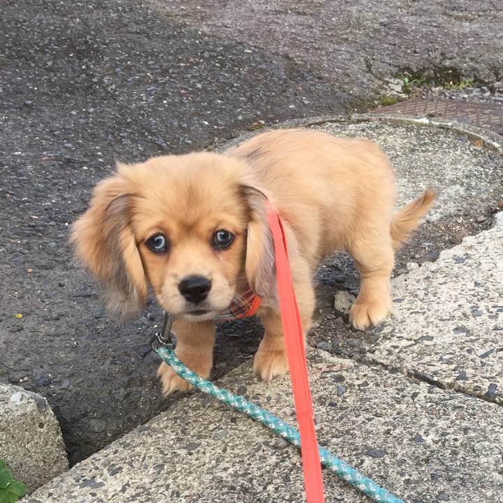 Cd7e346f be7d 4ee5 8ad5 d708ff110a86