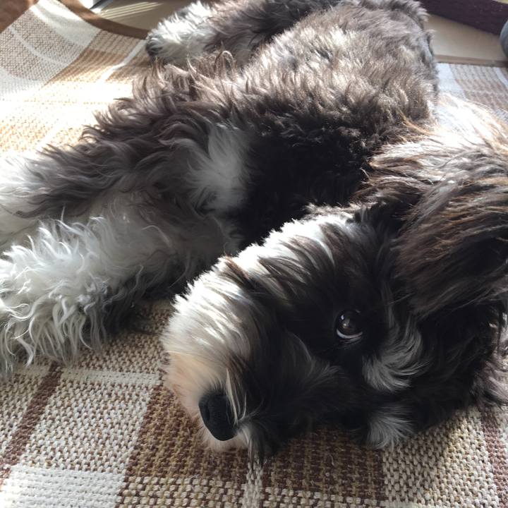 Cd7e518b 3508 46d5 9d54 342da0026917