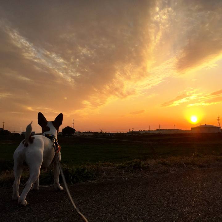 Cd7ebd3d 39b6 44b7 8503 c9aecbb5fb8e