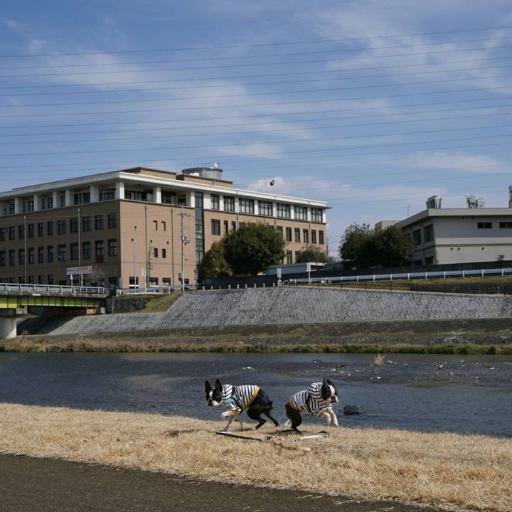 Cd7ef660 c3ff 4a36 bf49 e1f7d5c95ae9