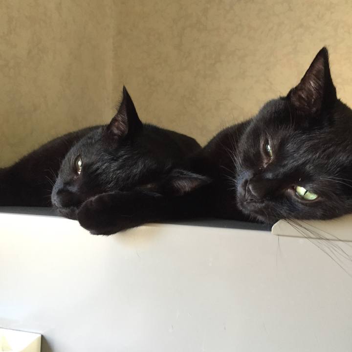 Cd7eff14 5216 45a4 a033 cba0776c8b55