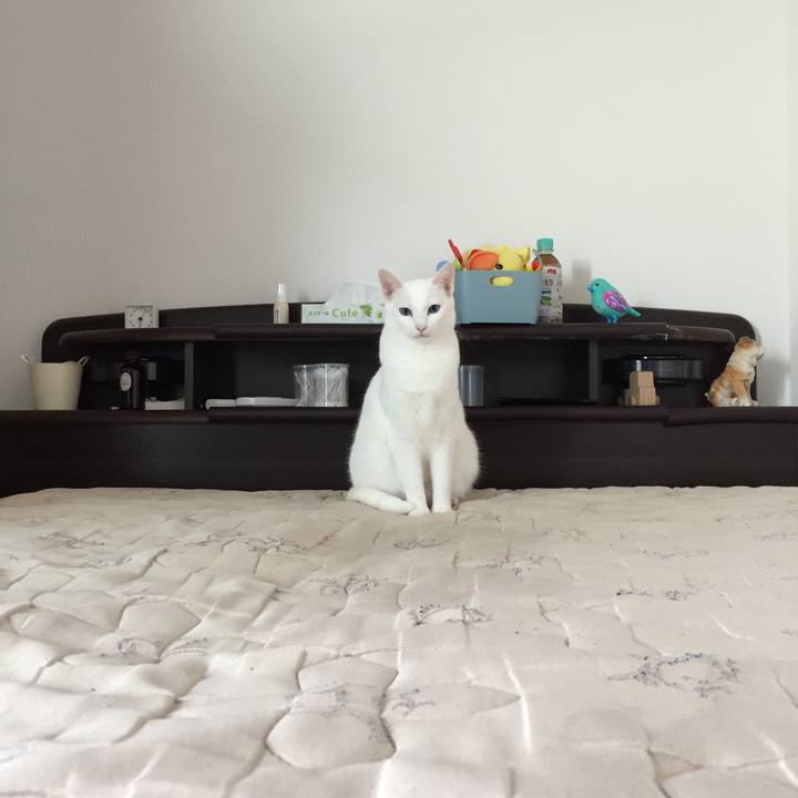 Cd7f06d1 550e 4764 9c7e de0c3a715590