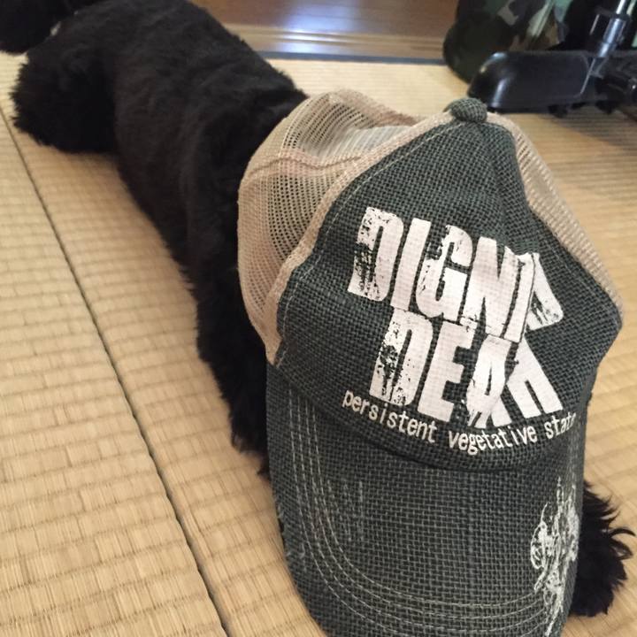 Cd7f15d1 7cef 4da8 9ddd 1d9c6d086e69