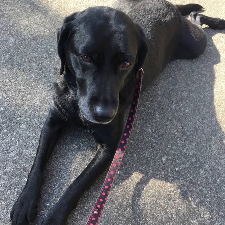 Cd7fd81d e126 4b31 81c6 06e019456dc9