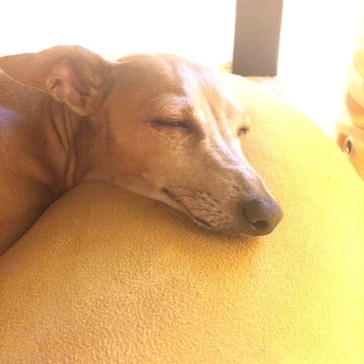 Cd805a14 b3dc 4ec3 a158 ed40014941a6