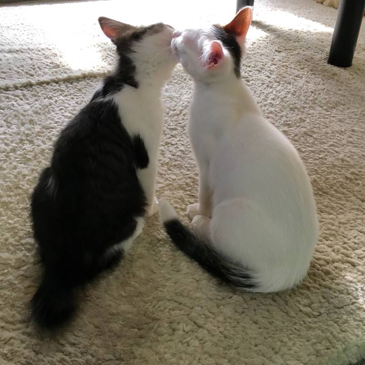 Cd807be6 fb53 4ec7 9d84 4d586279d2fb