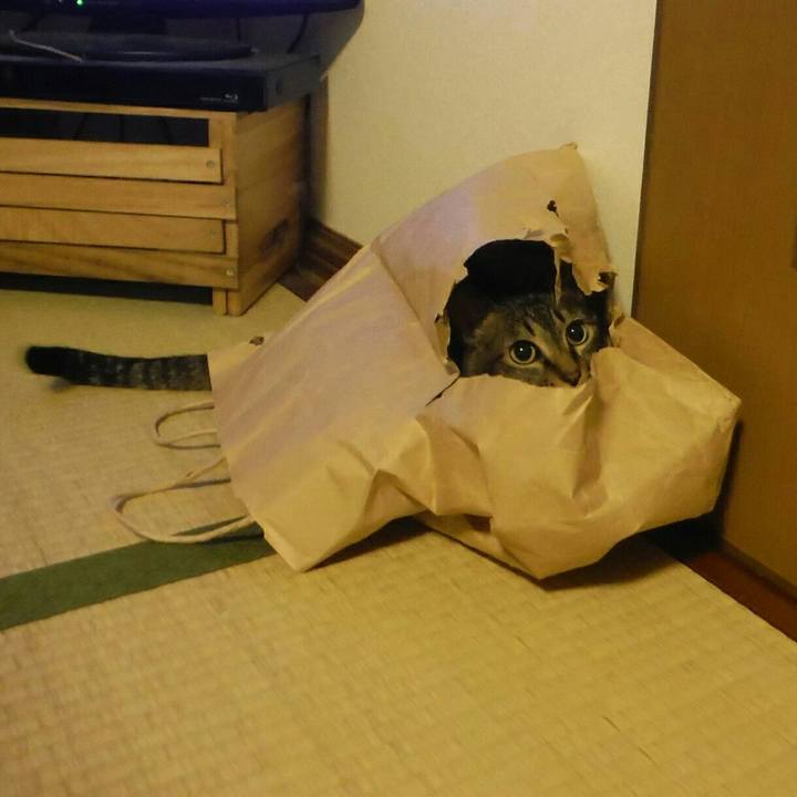 Cd80f5f1 7899 4743 b048 b337a165595a