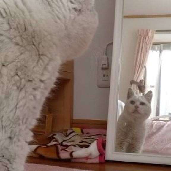 Cd81285a a26f 4faf bfbf 4337942cb7de