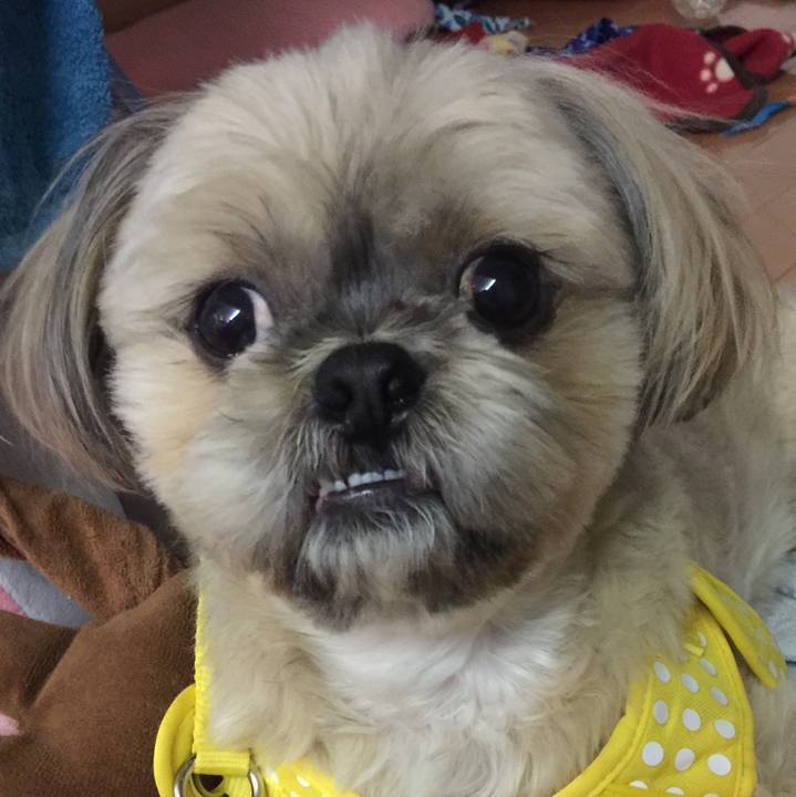 Cd815a59 0be9 41a8 93e1 8e8181ac6d3c