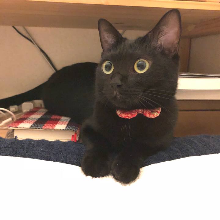 Cd818bfa 7a3c 49ef b2d3 8651dcbb7083