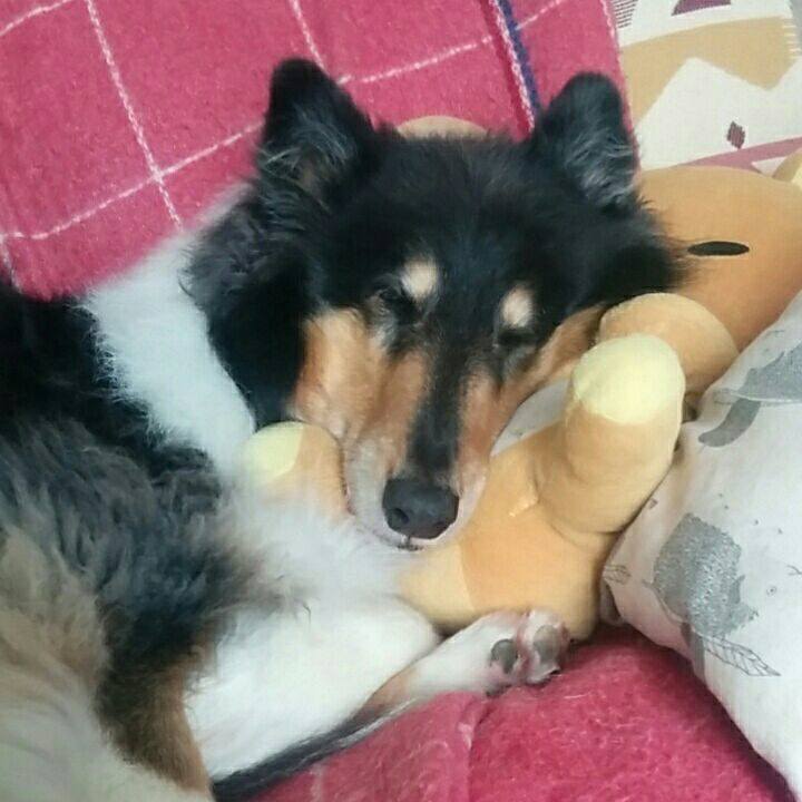 Cd818ccc edde 42a5 ad74 8c51ce4ba1af