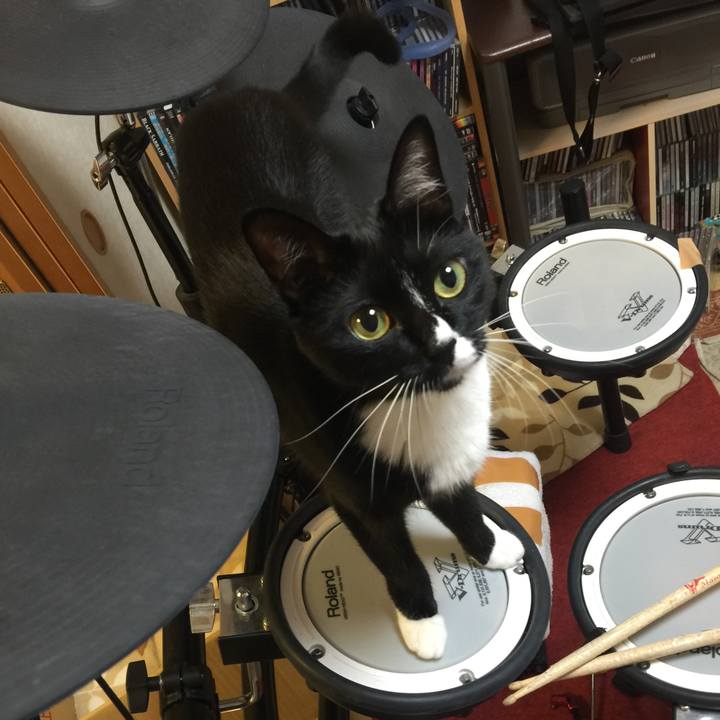 Cd81a0bc e492 4bc5 8c94 8e52665d8fe1