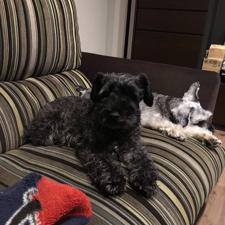 Cd826937 f555 4738 8d12 6dd3bc30e0db