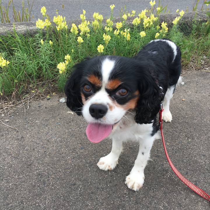 Cd8288bc 704c 413a b957 bdd6e593633e