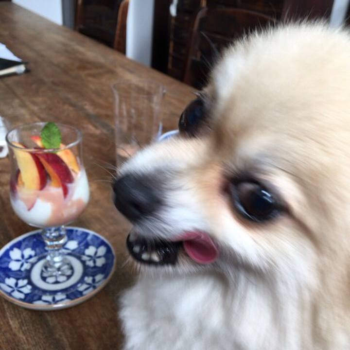 Cd82ac24 5a4c 44f3 abf8 dcc00bddd9f4