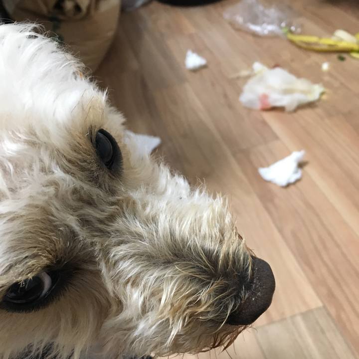 Cd82b6d4 eefc 474d 8852 7be5c31099ef