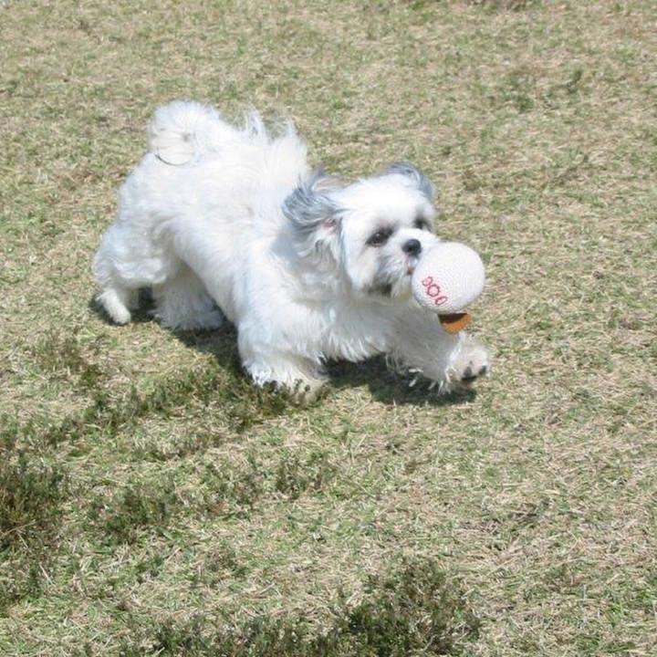 Cd82c2e7 097b 4594 b186 34610ded7f90