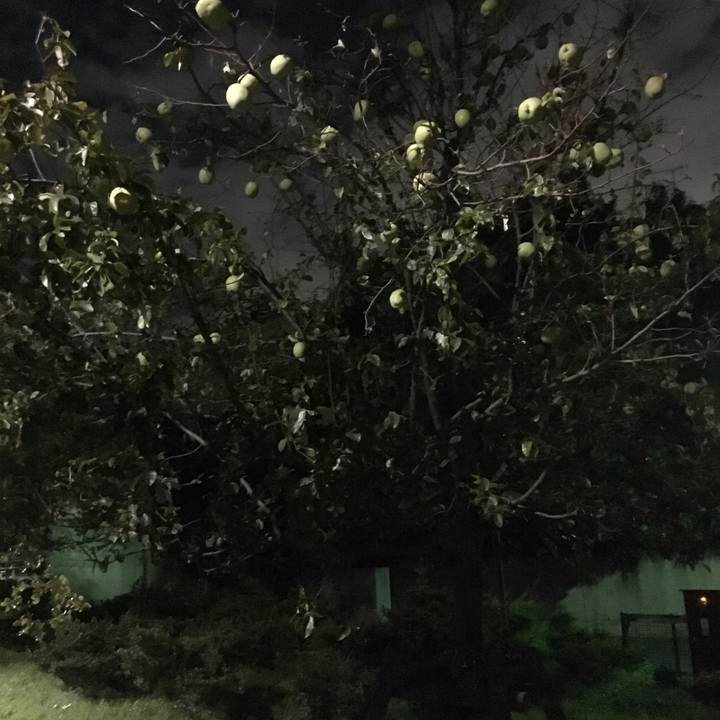 Cd82c3ad 7bf9 45f6 941b 64ff5ae92e1b