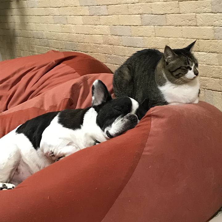 Cd82ec5c 2b73 466e a586 d9fe03b32894