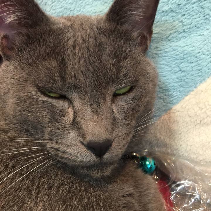 Cd832267 775e 4a0a 8584 c1214c275ff5