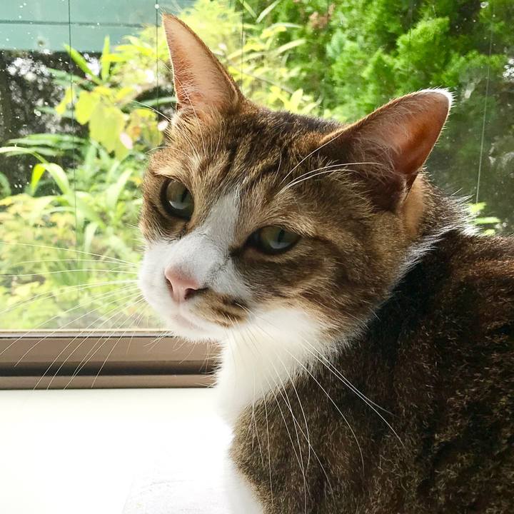 Cd833d25 2bbb 4066 88cd ffa6caca7b71