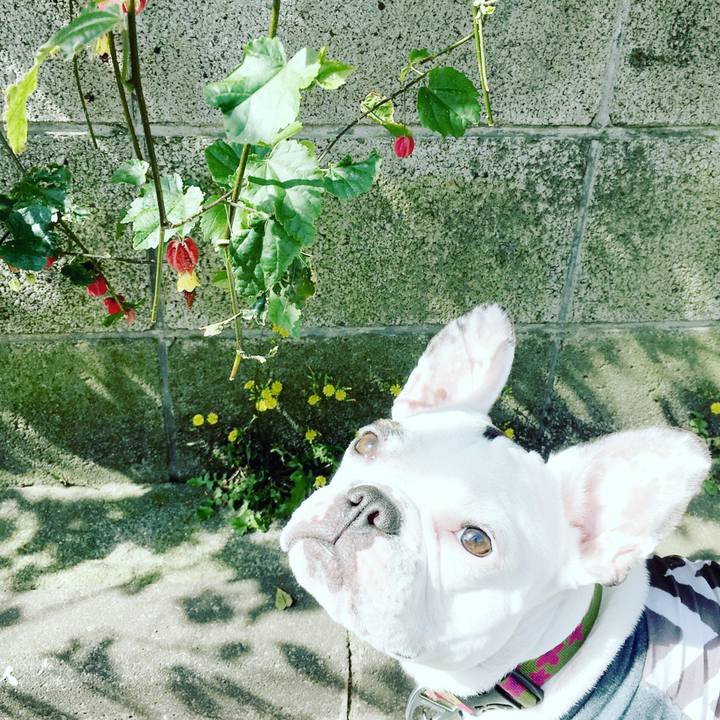 Cd84987a c16b 4cea 9c16 d1408afe9351