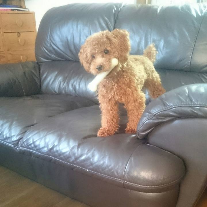 Cd84a1df 4ab1 4810 be7c 16f09f6e93af