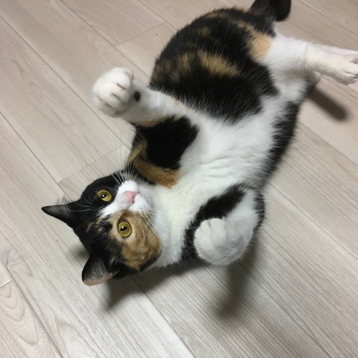 Cd857810 e3eb 4d4b a054 8b31aa0a89c7