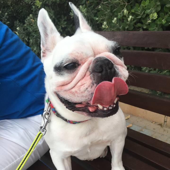 Cd8665c1 ae22 43a4 89f3 8eb9ea451cc0