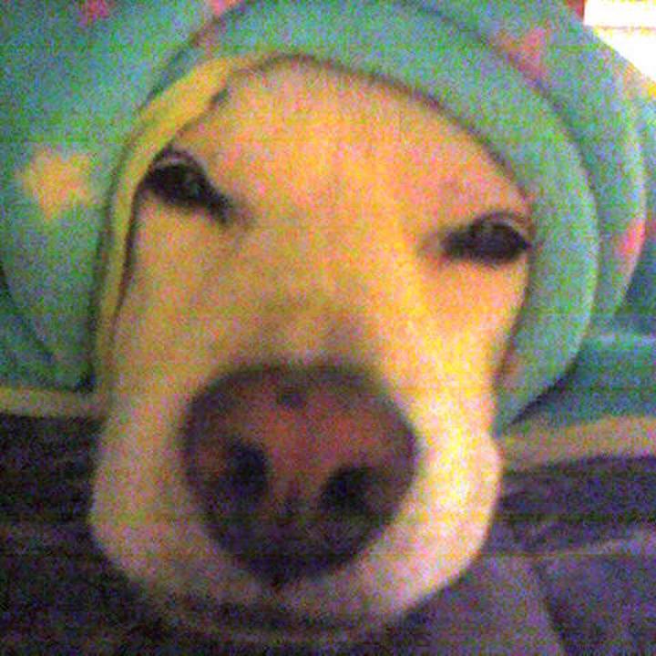 Cd86dda6 ae2d 4b65 a6ad 4096464b6ff3