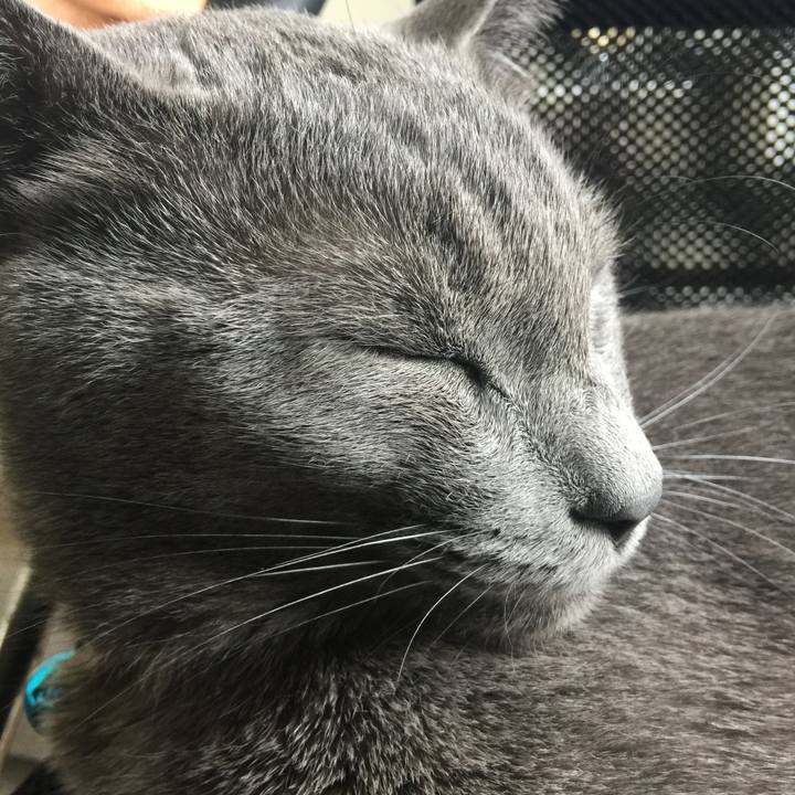 Cd87ae0b 8d13 4e83 9d8b 7364c31c4c0b