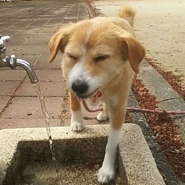 Cd87e371 6be7 4c7d 812a d044fb273989