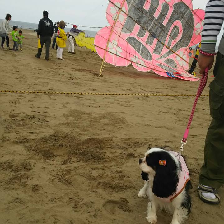 Cd88d24a cb07 43ef 953a 046e64184513