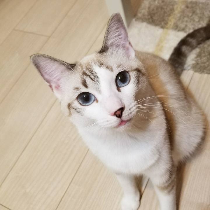 Cd892568 599c 4f4f 92c2 96232a359c53