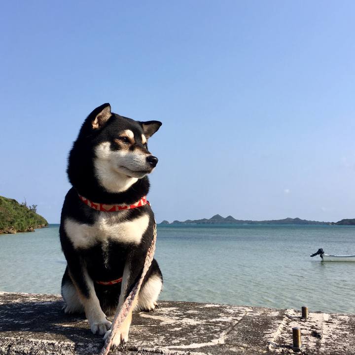 Cd8942e5 b8ce 4b1f abee 0555b8ef0e58