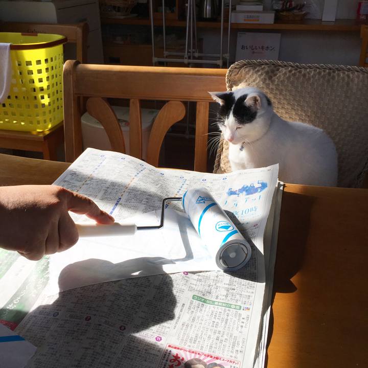 Cd895a61 add2 47c7 bc9d f2f66760ba1e