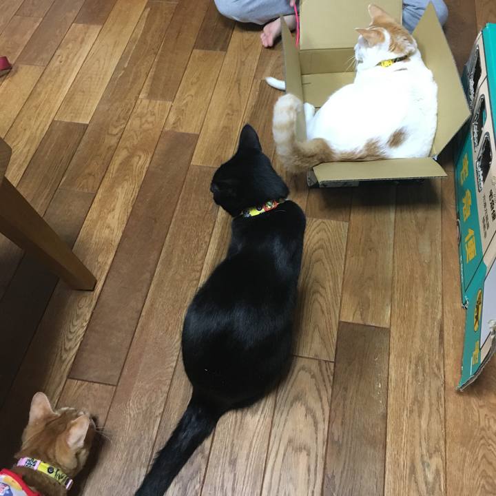 Cd89c035 3f54 4a79 a154 becb9e6f3678