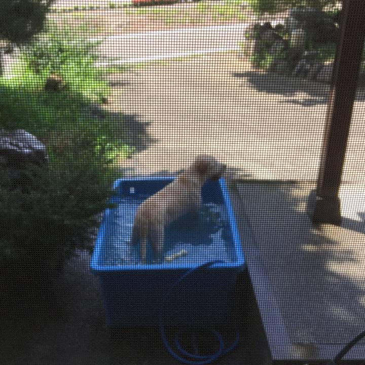 Cd8a5741 1413 4f85 b233 9c138a97f91b