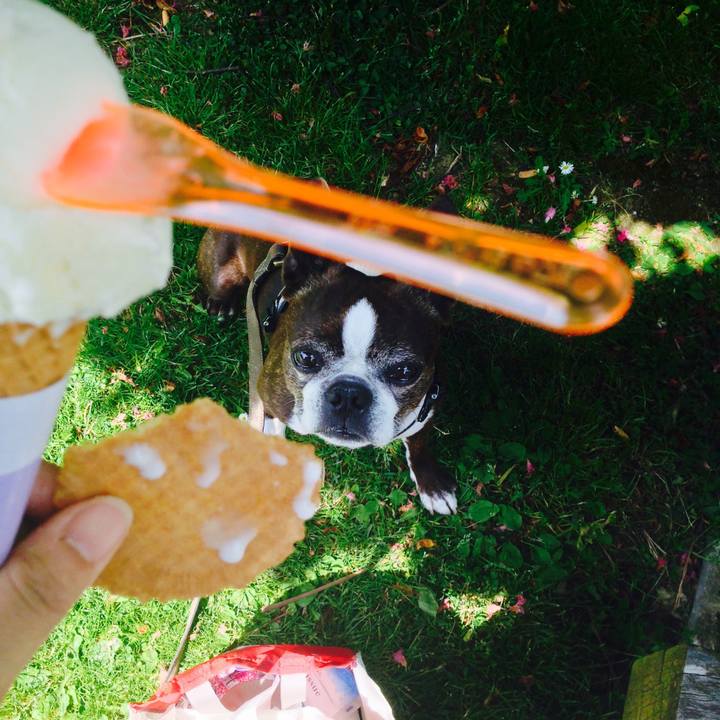 Cd8a6774 2087 47fc 8607 e11a3f8b8c13