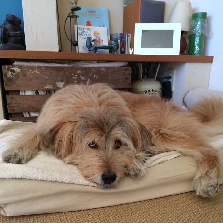 Cd8b7014 6e1b 44a7 8422 7db0916f3ffd