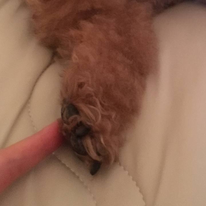 Cd8bd97d 5a1a 41a2 bec9 03b5f135622d