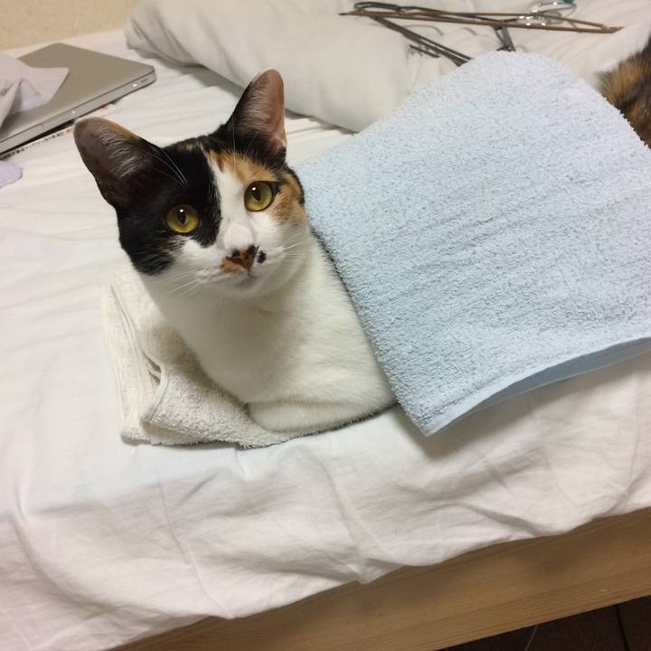 Cd8beea1 341c 4d55 a139 4275f2adfc37