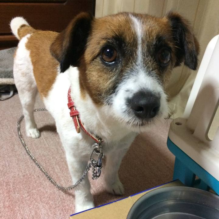 Cd8c9098 37cb 4e81 bda8 8254c9c71a42